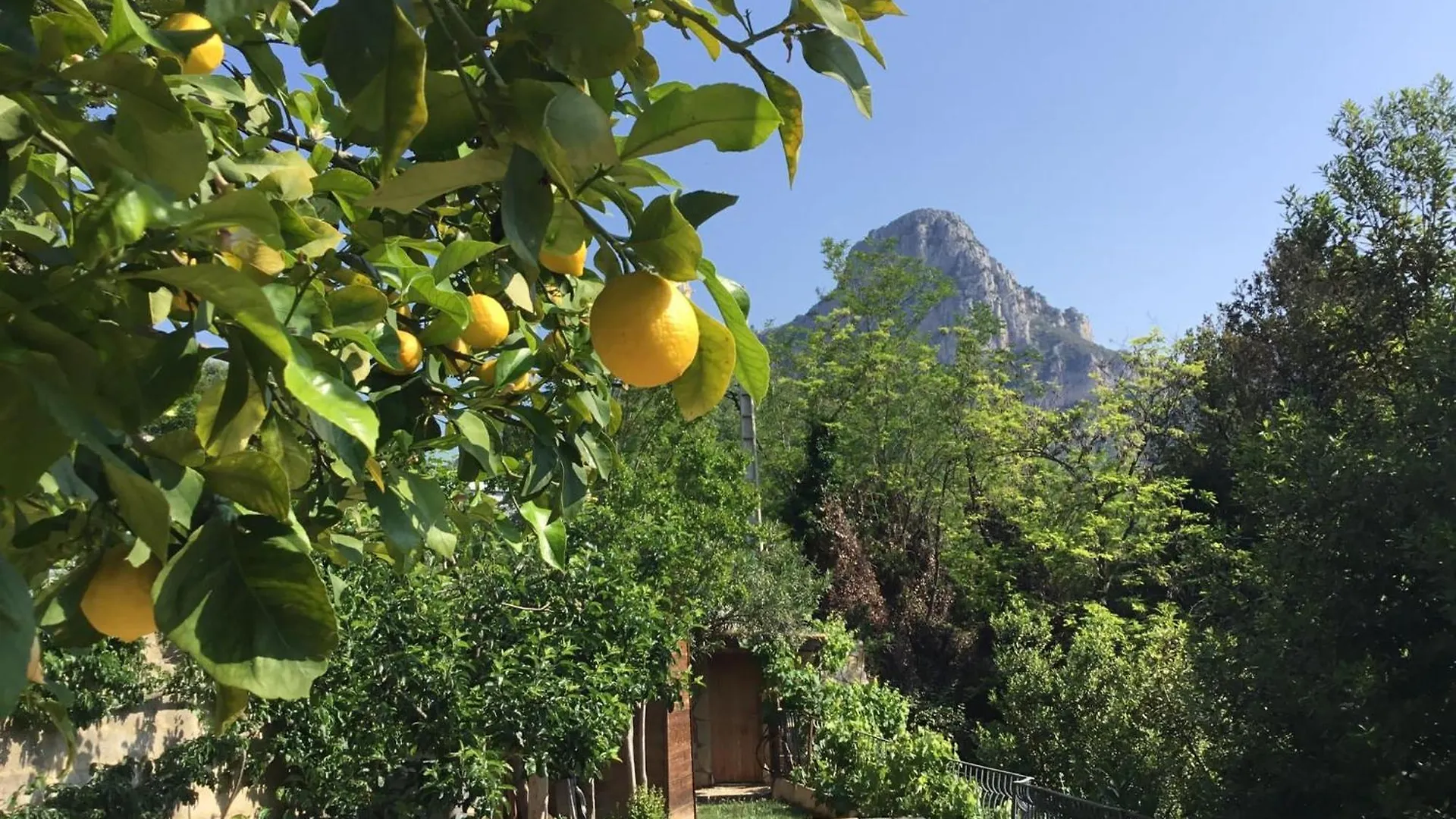 Au Pied Des Baous Bed & Breakfast Vence France